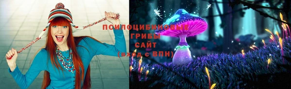 сатива Алексин