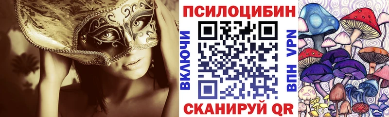 цена наркотик  Завитинск  Галлюциногенные грибы MAGIC MUSHROOMS 